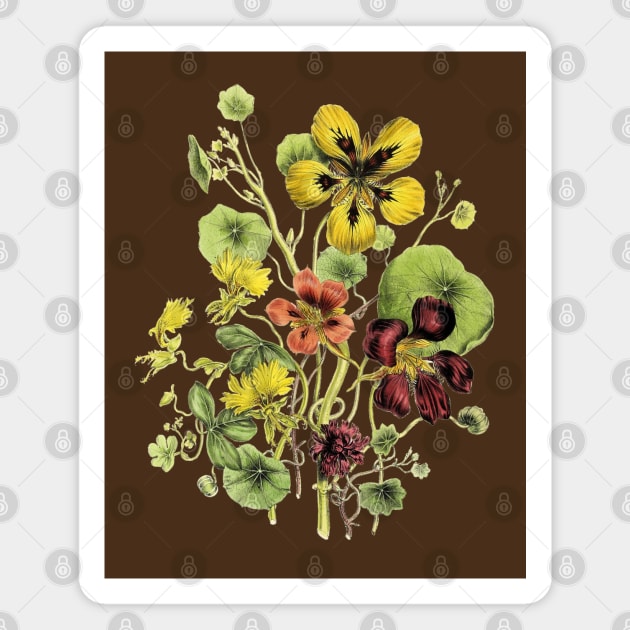 Blooming Nasturtium Flowers Bunch Magnet by Biophilia